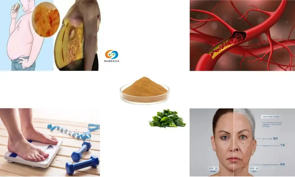 Does fucoxanthin work​?